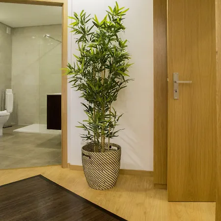 斯波特特林达德公寓 公寓 *