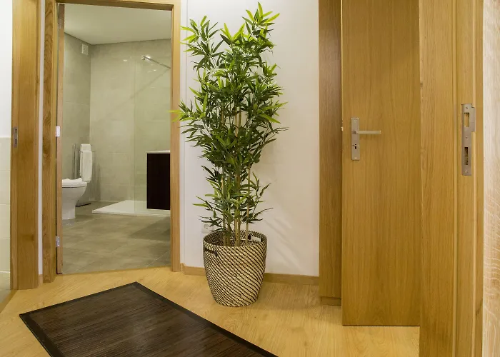 Spot Trindade Apartament *